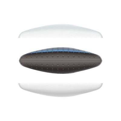 PolarCarbon Memory Foam Pillow