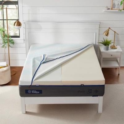 Adjustable Firm to Plush 12" All Foam Mattress