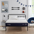 Adjustable Firm to Plush 10.5" All Foam Mattress