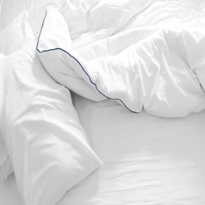 Feather and Down Comforter