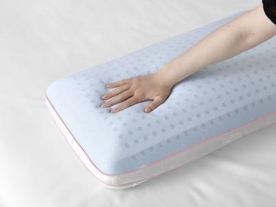 Cool Control Pillow